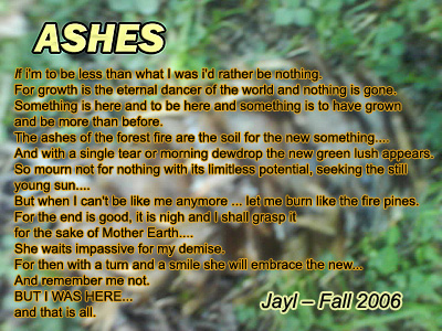 PINE CONE - "ASHES" by JAYL